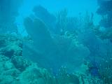 2008-05-12 16-33-22